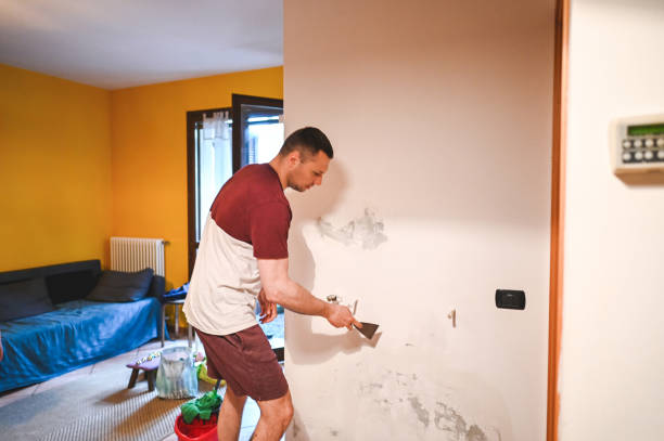 Best Mold Removal Company Near Me  in Hickory Hls, IL